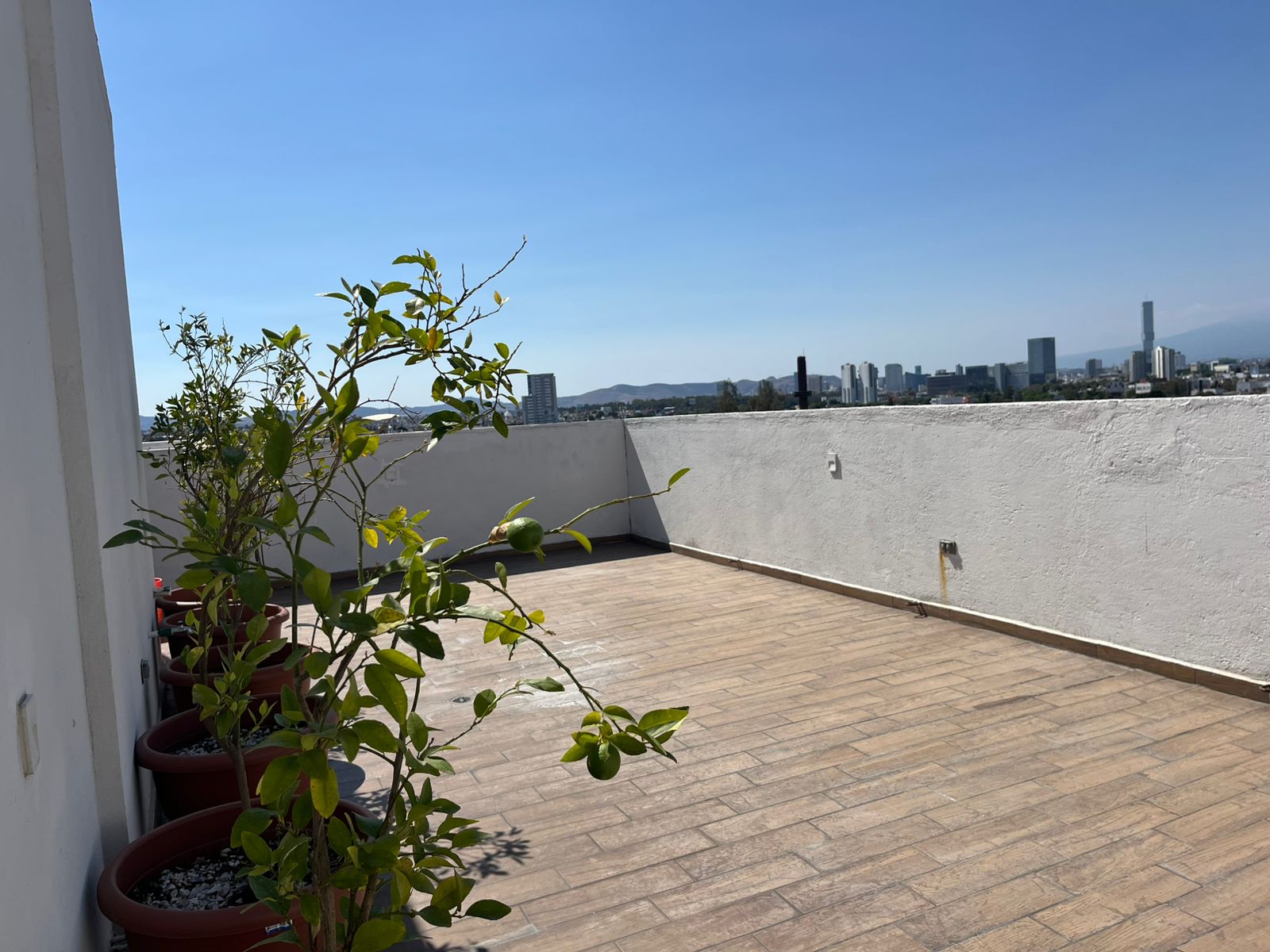 PHOTO-2026-02-26-12-13-49 2